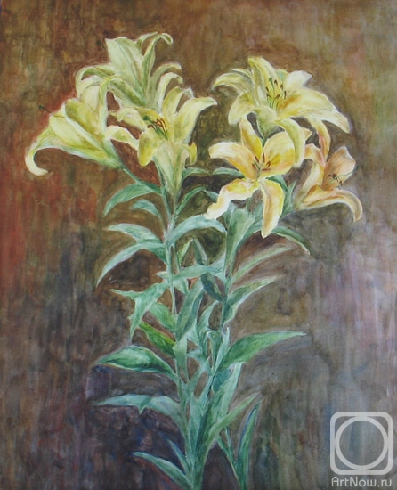 �������. ��������� ���������. �����