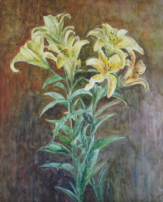 �����. ��������� ���������