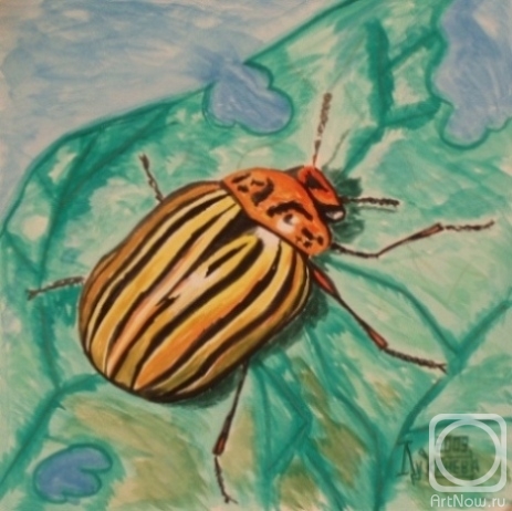 Lukaneva Larissa. Colorado Beetle