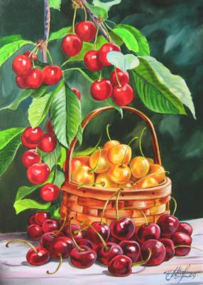 Cherries. Samarskaya Helena