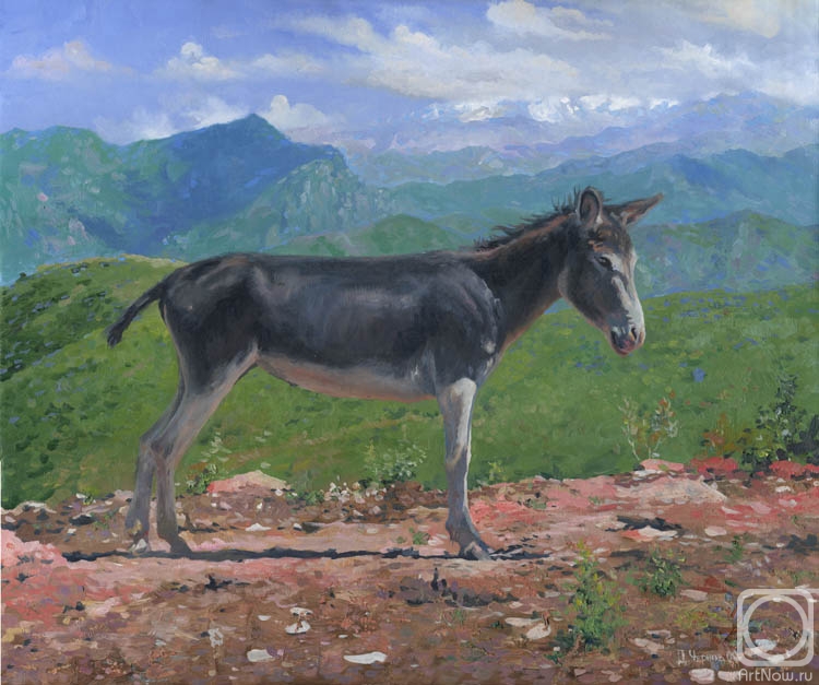 Chernov Denis. Mountain Donkey