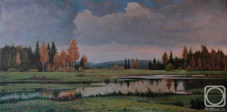 Filiykov Alexander. Duck Swamp
