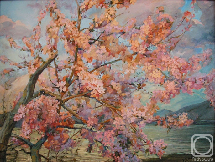 ������� ������ �� ������. ������ �������. ���� �����