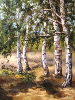 forest of birch. Pohomov Vasilii