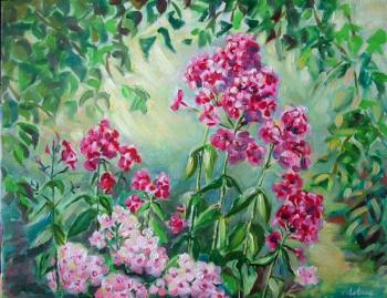 ������ ������. ������ ������