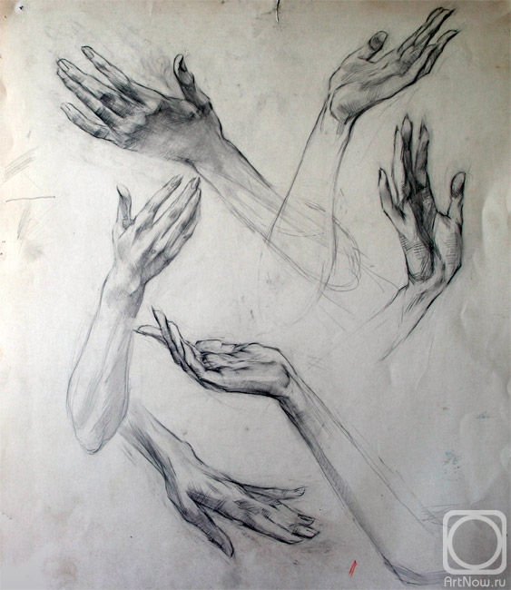 Kuznetsov Grigory. Studia. Hands