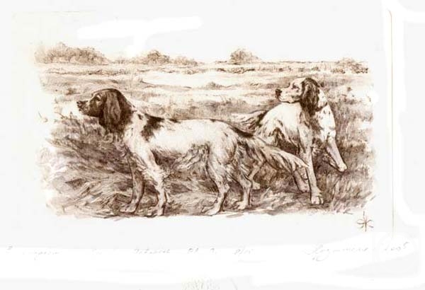 �������. ���������� ���������. � ��������