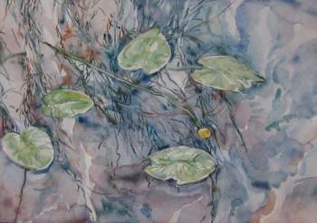 Water lilies. Rakutov Sergey
