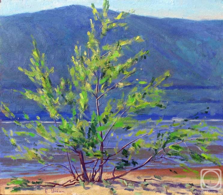 �������. ����� �������. ������� ������