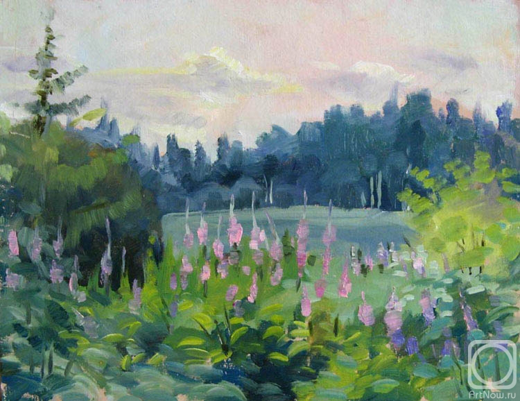 �������. �������� �������. ����-��� �� ������