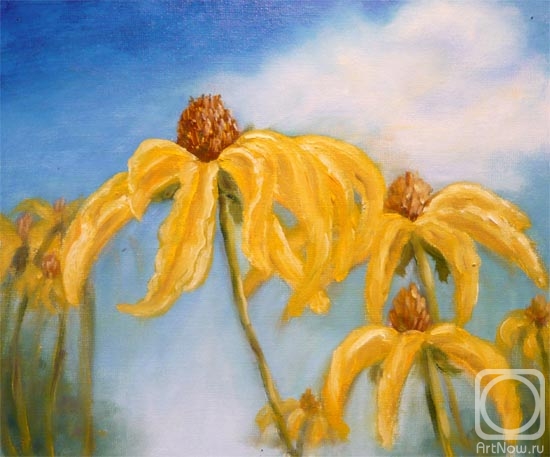 ������� ������ �� ������. �������� ���������. ���� ���� (������ ����)