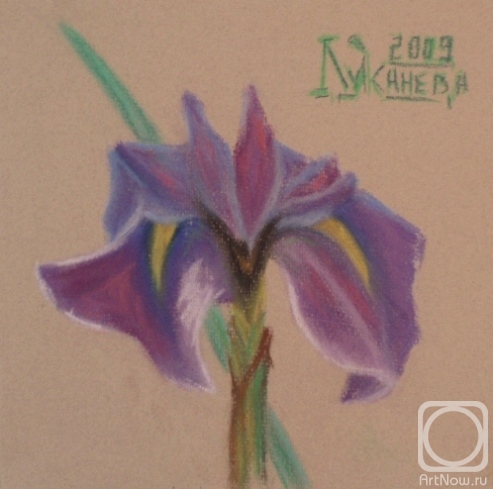 �������. �������� ������. ���� "�����"