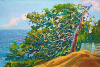 Wings of the wind. Pines of the Crimea ( ). Mirgorod Igor