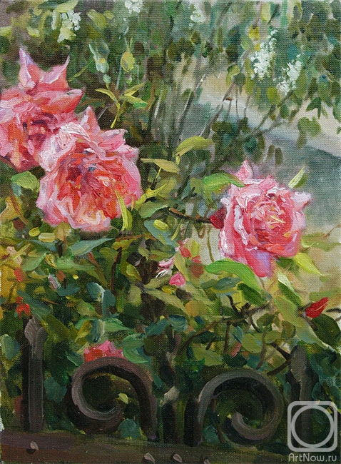 Galimov Azat. Roses in garden