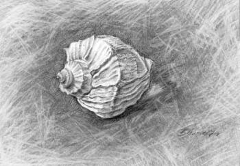 ������� ��������