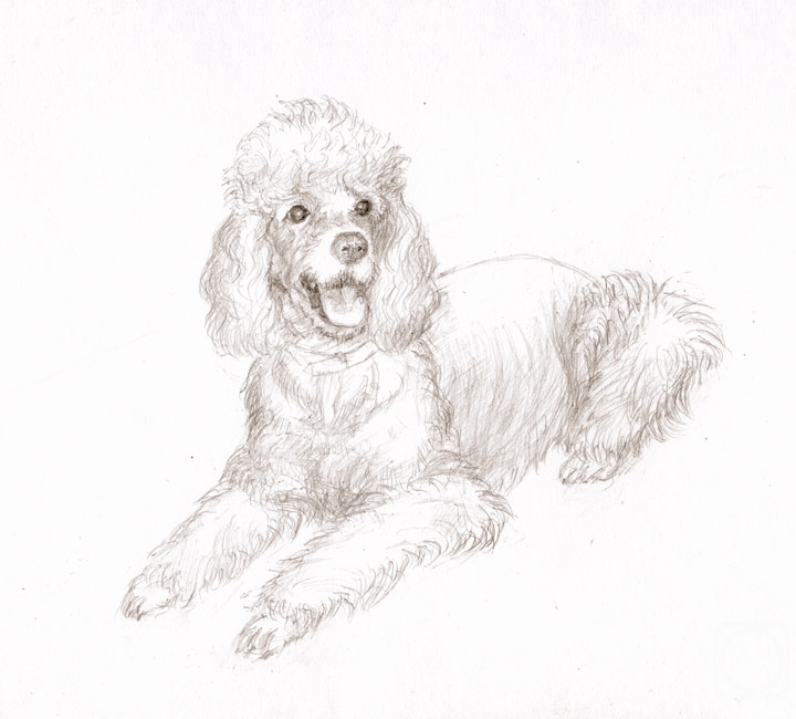 �������. �������� �����. ����