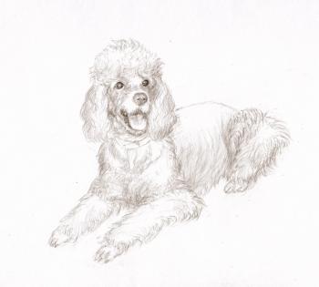 ����. �������� �����