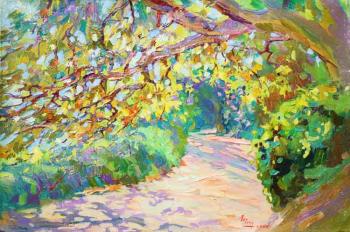 Meeting with the sun. Vorontsov Park in Alupka