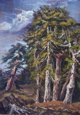 Pines (etude). Lazarev Dmitry