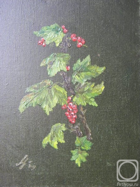 ������� ������ �� ������. ������� �����. ���������