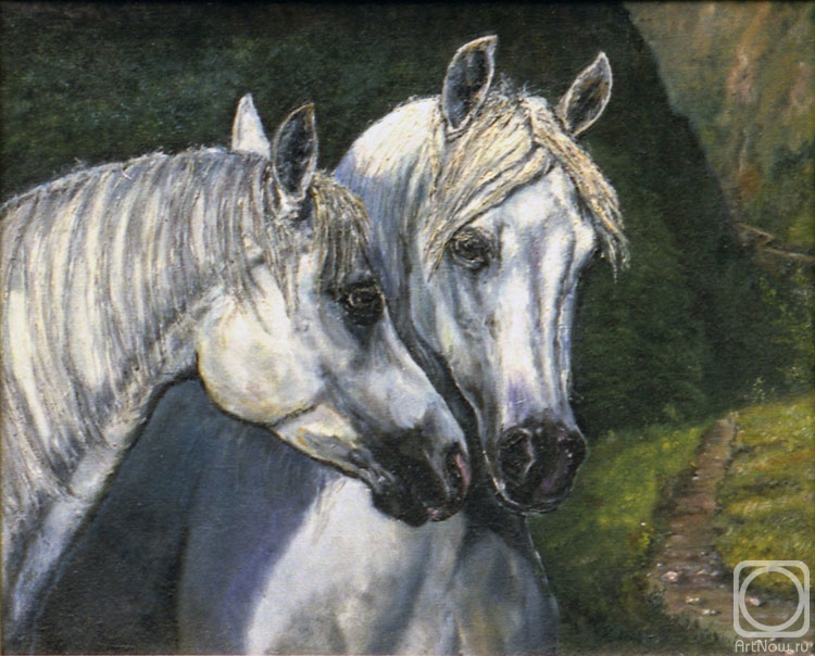 ������� ������ �� ������. ����� ������. � �����