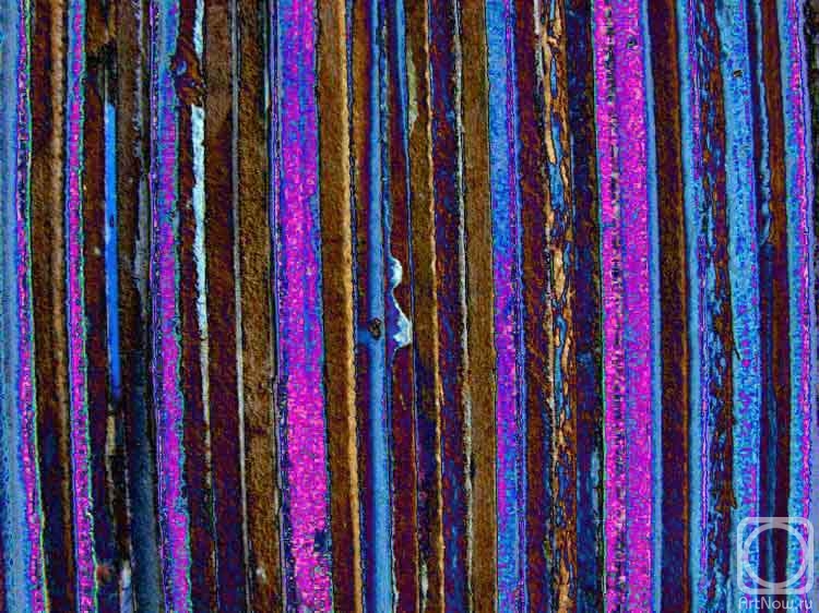 �������. ������ ������. ���������������� ���