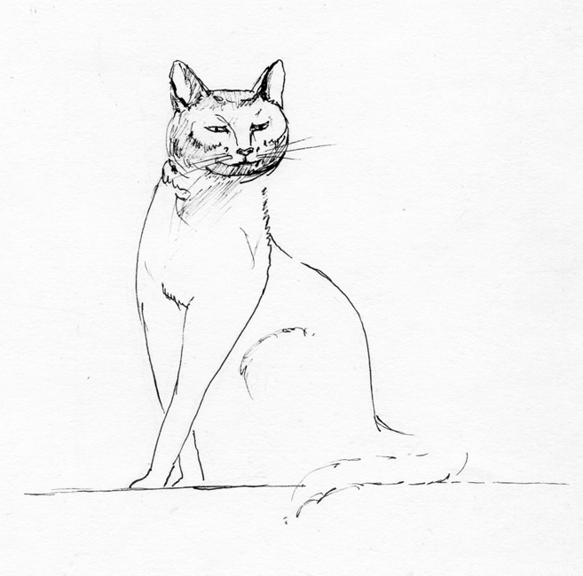 �������. �������� �����. ���.  �� �����"��������"