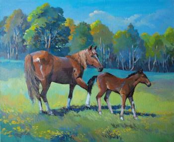 ������� ��� ��������