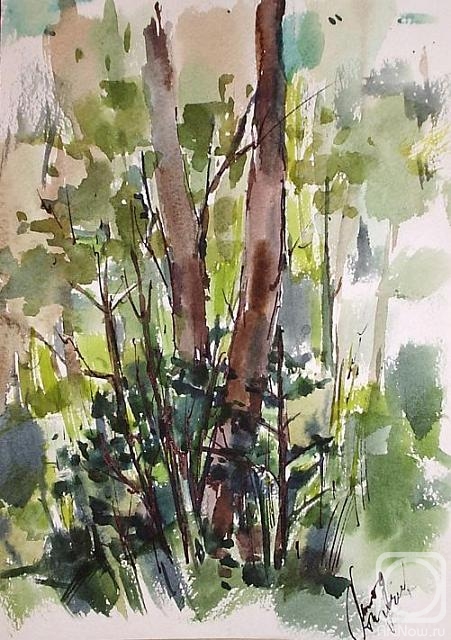 �������. ���������� �����. ����