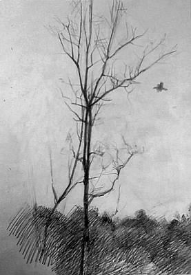 Tree and bird. Deryabin Oleg