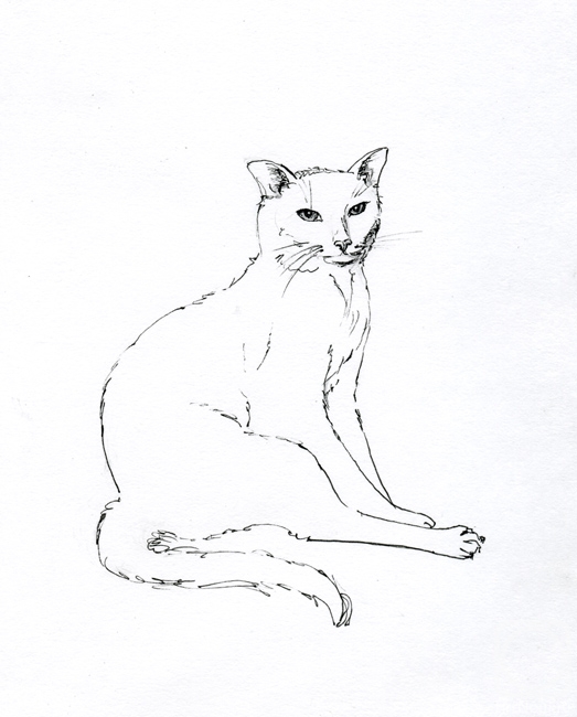 �������. �������� �����. �����. �� ����� "��������"