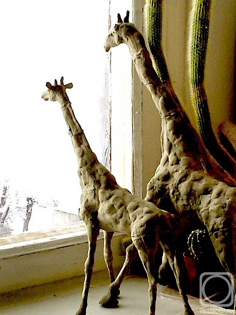 Makeev Sergey. Giraffes