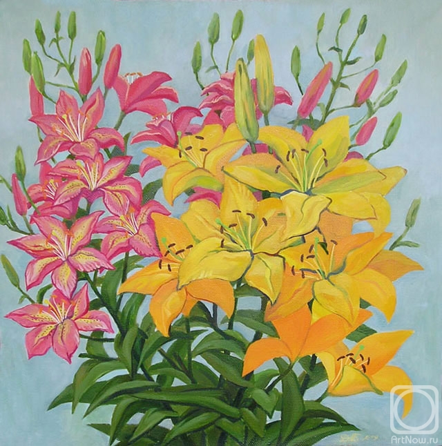 ������� ������ �� ������. ������� ������. �����