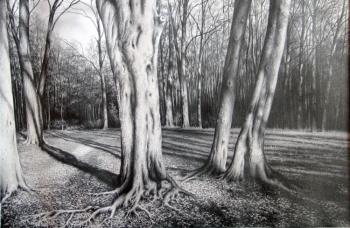 ������� ����