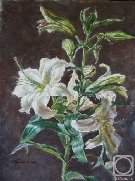 �������. �������� ������. �����