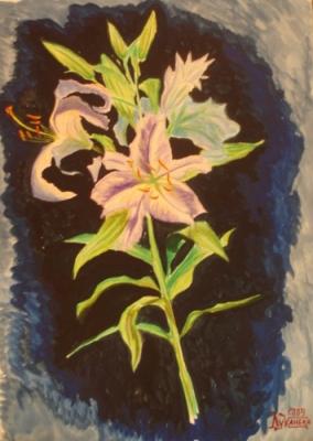 ������� ������ ����� 2�