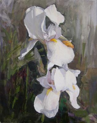 Composition with white irises