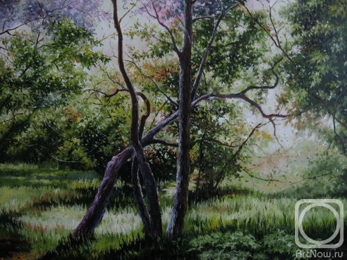 ������� ������ �� ������. ������ �����. ����������� �������