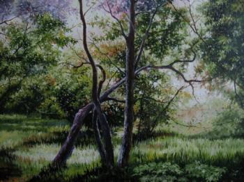 ����������� �������. ������ �����