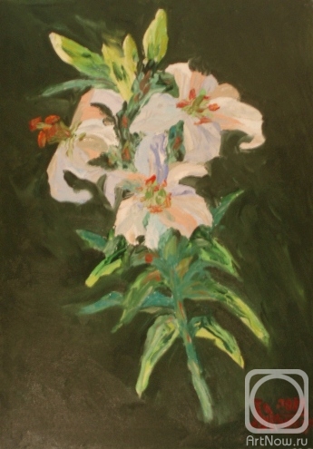 ������� ������ �� ������. �������� ������. ����� �����. 3