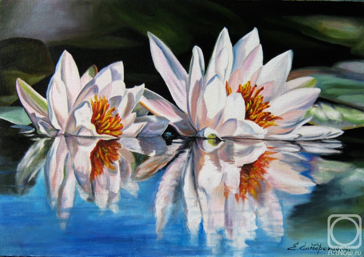 Samarskaya Helena. Nymphaeum pair