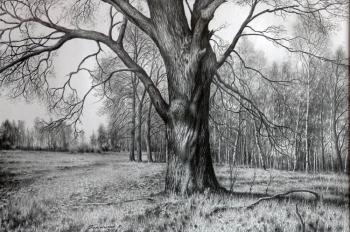 ���. ��������� �������