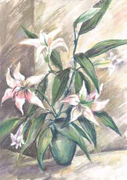 �������. ������� �����. �����