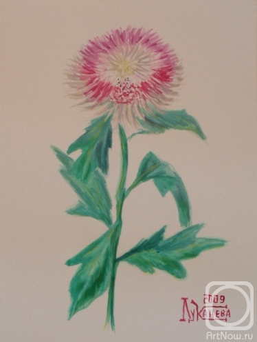 �������. �������� ������. ���������� ����-�������. 2