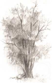 �������. ������� �����. ������� ��� ��������