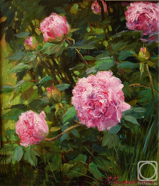 ������� ������ �� ������. ������� ����. �������� �����