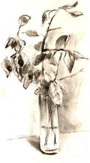 �������. ������� �����. ������� ��� ��������