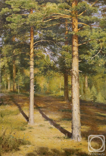 Aleksandrov Vladimir. Pine trees illuminated by the sun
