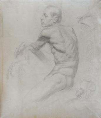 Anatomic drawing. Panov Igor