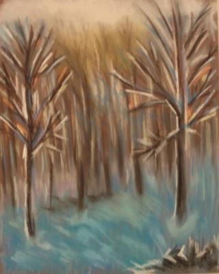 Copy 6 (winter forest). Lukaneva Larissa